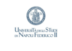 Università degli Studi di Napoli Federico II - UNINA.IT