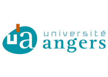Universite d'Angers - UA logo