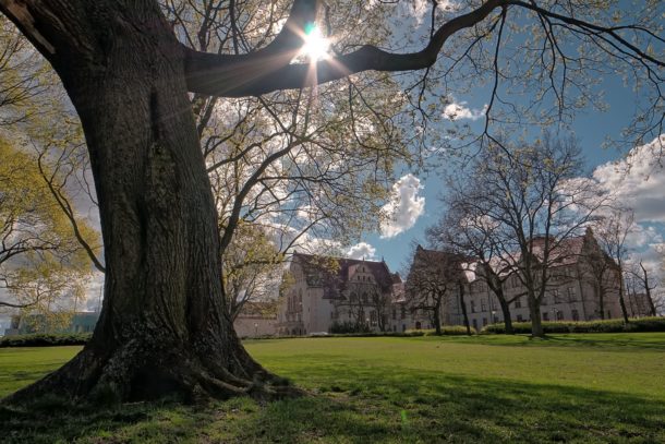 Adam Mickiewicz University in Poznań – UAM -campus