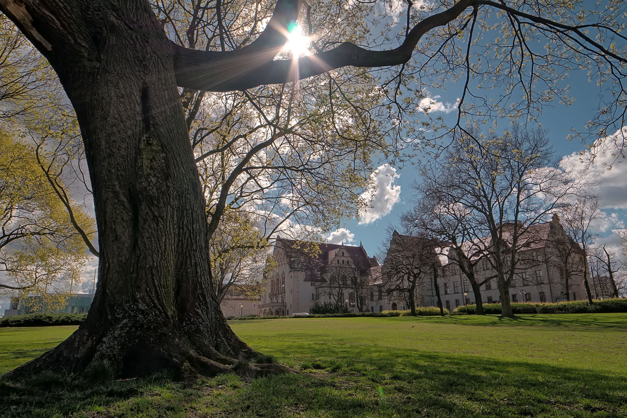 Adam Mickiewicz University in Poznań - UAM -campus
