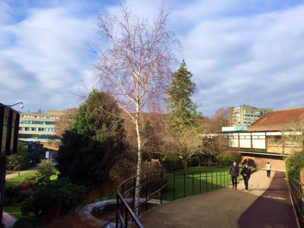University of Southampton- campus
