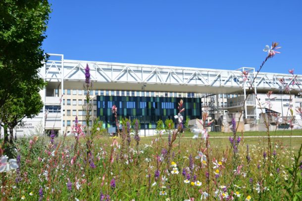 Université de Bourgogne – UB – campus