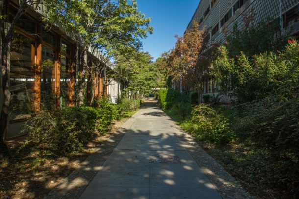 Université de Montpellier 3 Paul V – campus