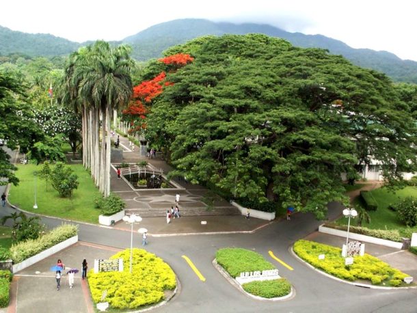 University of the Philippines – UPLB – campus