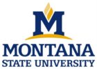 Montana State University - MSU