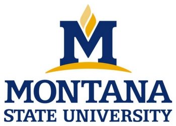 Montana State University - MSU logo