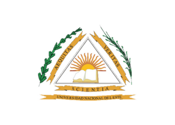 Universidad Nacional del Este - UNE logo