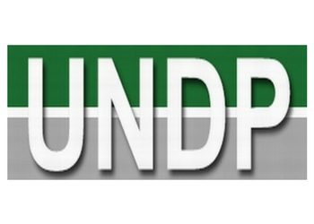 Universidad Nordeste del Paraguay - UNDP logo