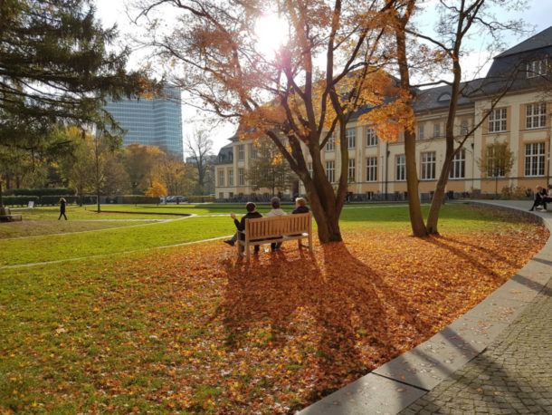 Bucerius Law School – campus
