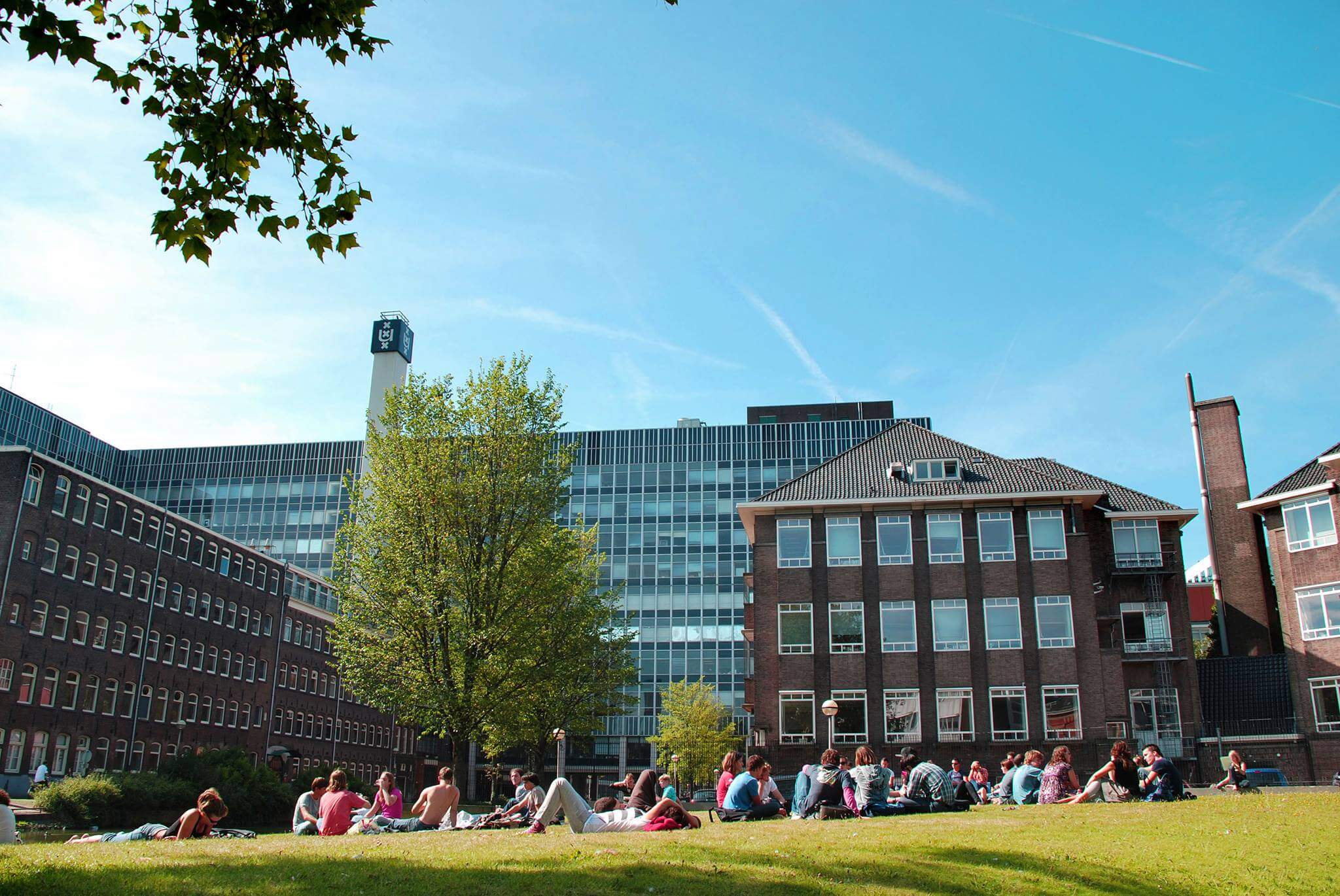 Study in the Netherlands Universities to consider