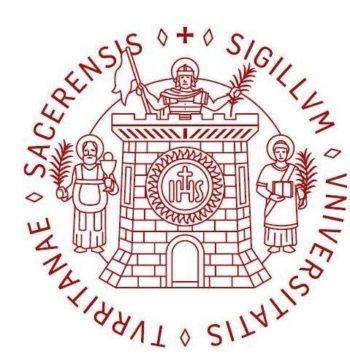 University of Sassari - Uniss logo
