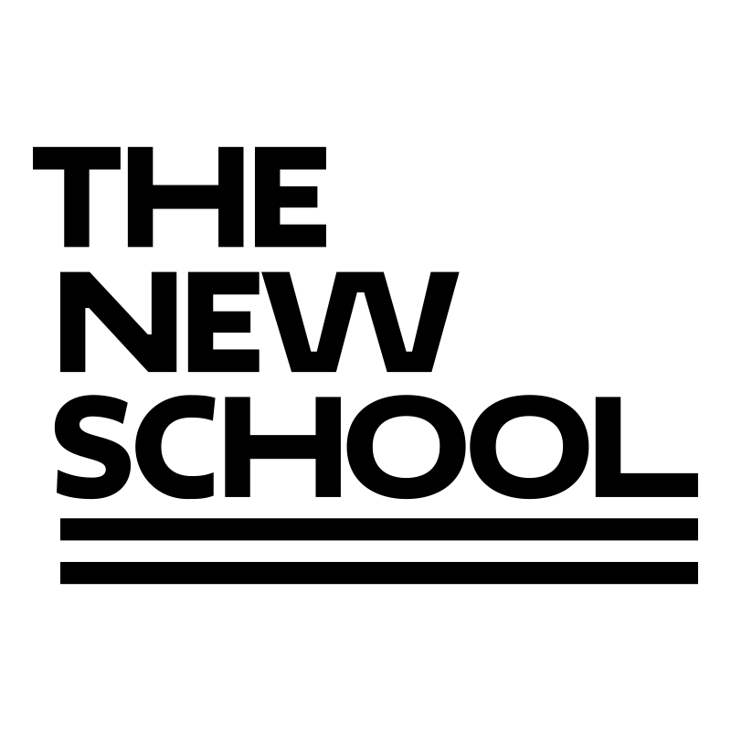 This school is new. New School. New School logo. Надпись New School. History Lab логотип.