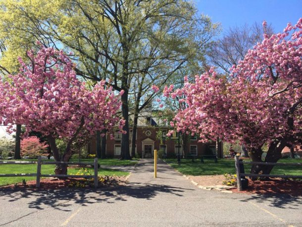 FelicianUniversity-campus