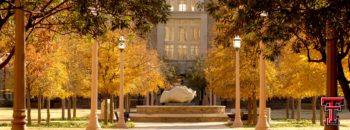 Texas Tech University