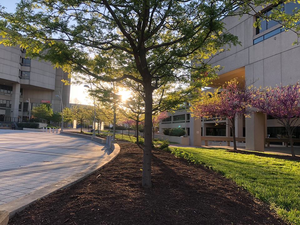 Best Universities in Washington DC | EDUopinions