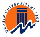 Mersin University