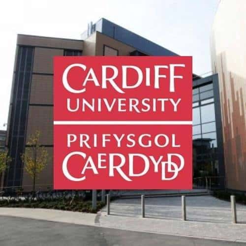 The Neighbourhood Cardiff Cardiff - 36 Verified student reviews