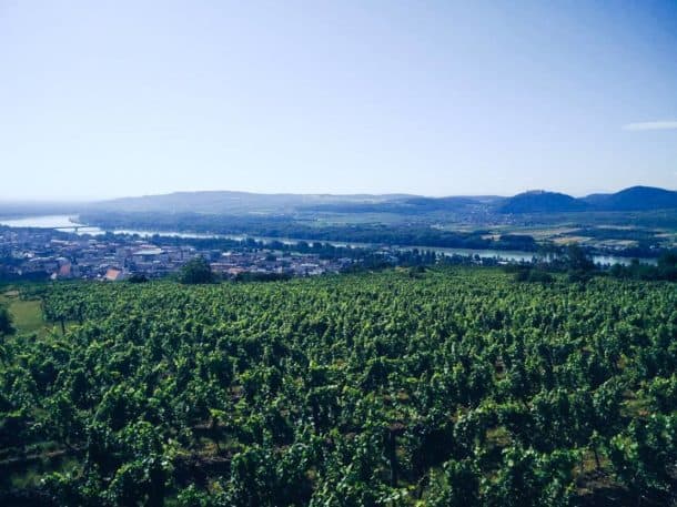 IMCUniversityofAppliedSciencesKrems-campus