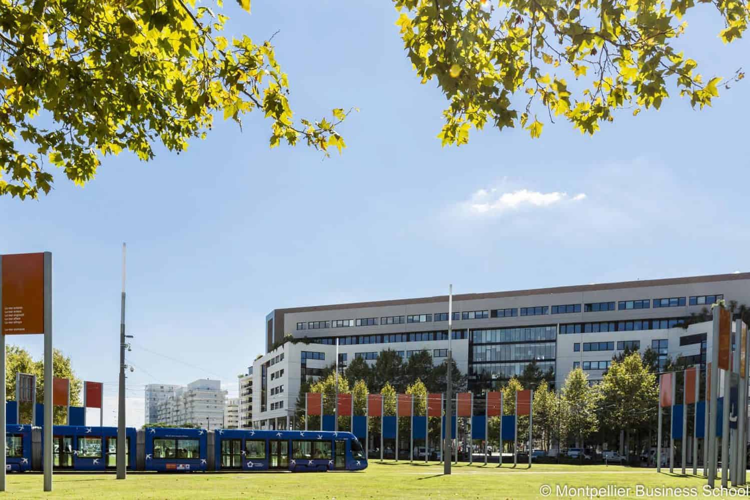montpellier business school masters
