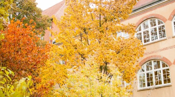 WroclawUniversityofEconomics-campus