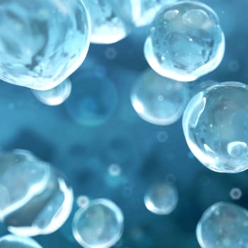 Natural Sciences & Mathematics