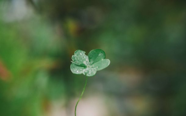 Business School Ireland