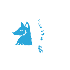 Centre Européen d'enseignement Supérieur de l'Ostéopathie - CEESO logo