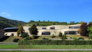 Danube Private University