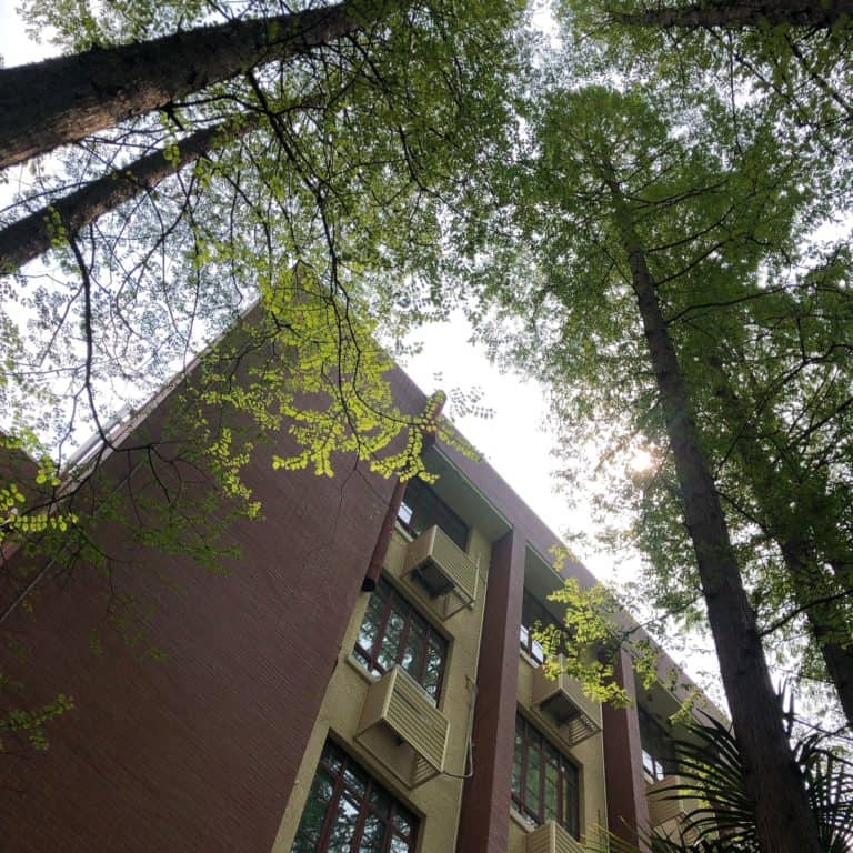 Donghua University – campus