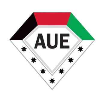 American University in the Emirates - AUE logo