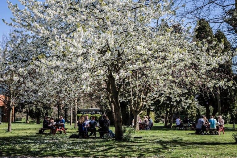 Rose Bruford College of Theatre & Performance – campus