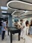 Schiller International University 13