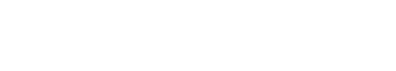 African Leadership University Logo