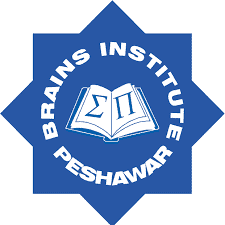 Brains Institute, Peshawar logo