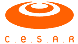 CESAR School logo