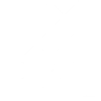 Indian Institute of Management Udaipur logo