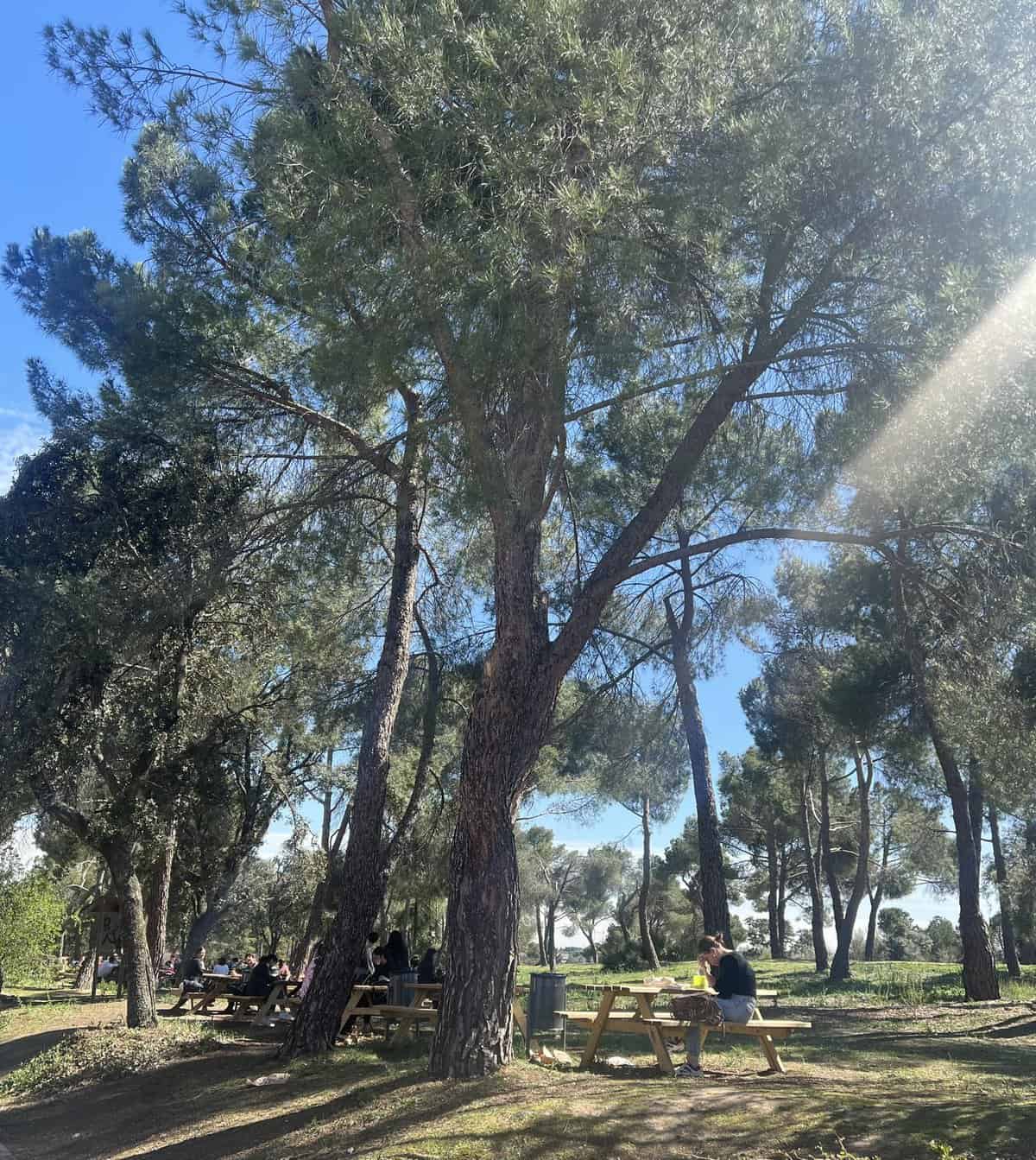 Universidad Complutense Madrid Scenic study spot