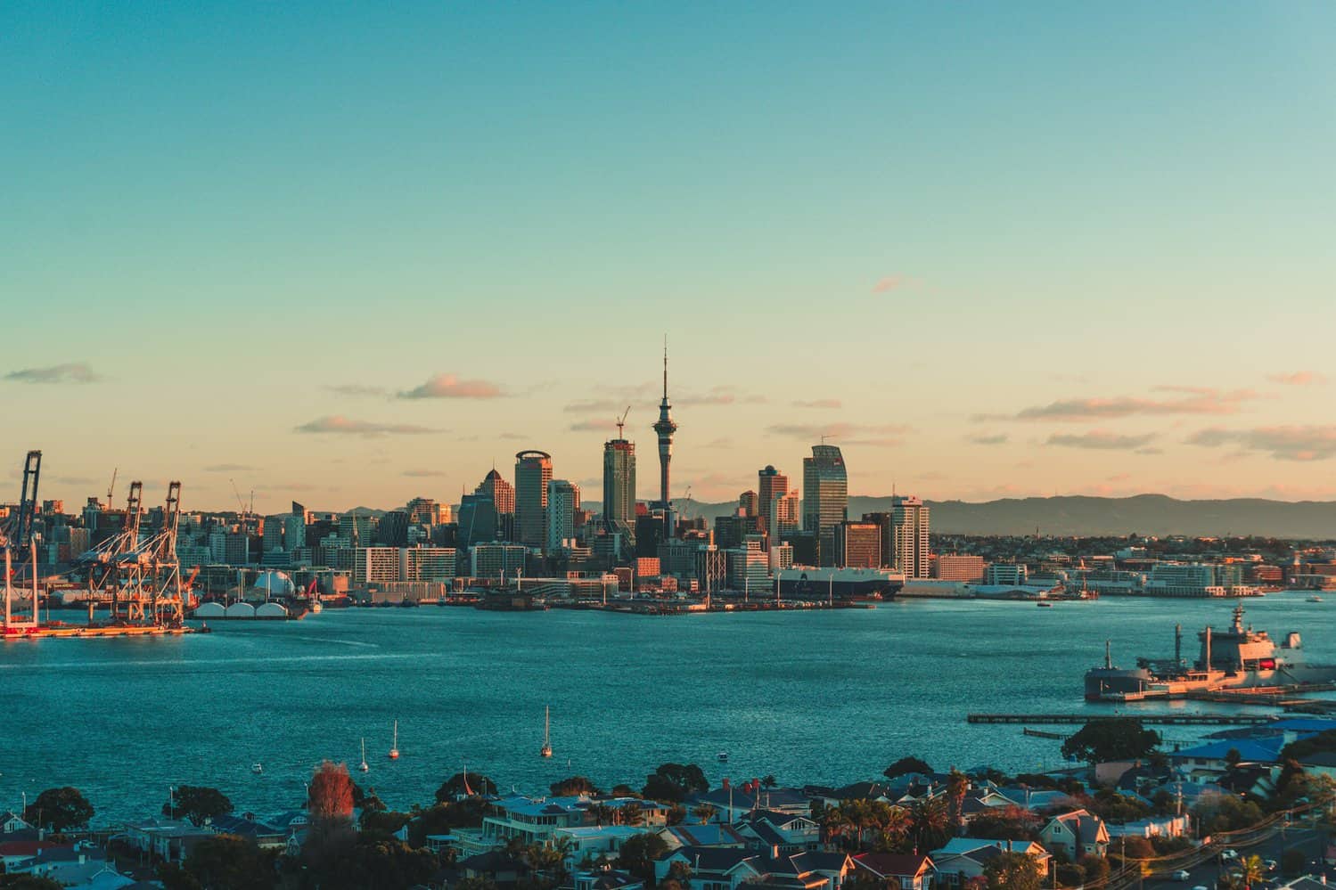 New Zealand International Student Degree ROI