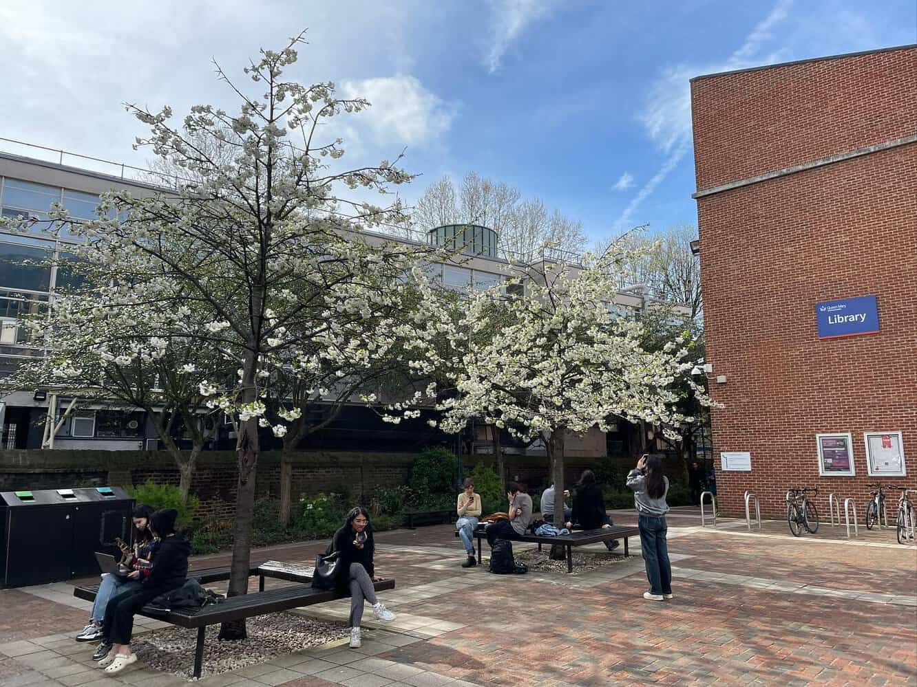 Queen Mary University of London