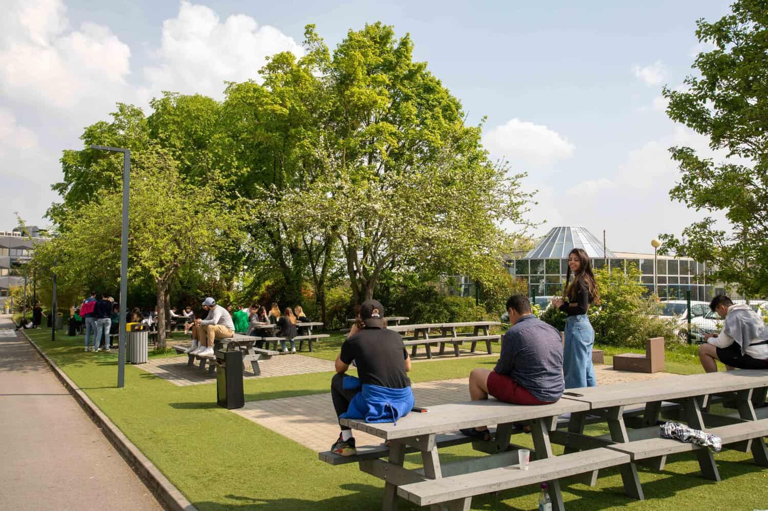 Student Reviews of Studying Business Abroad