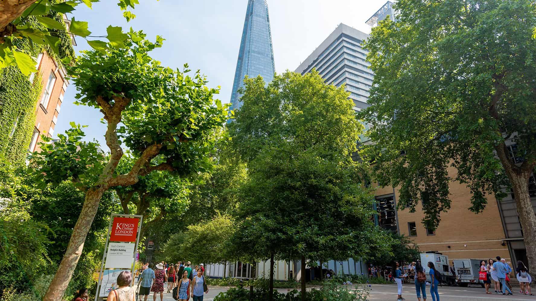 King's College London Best Sustainability MBA