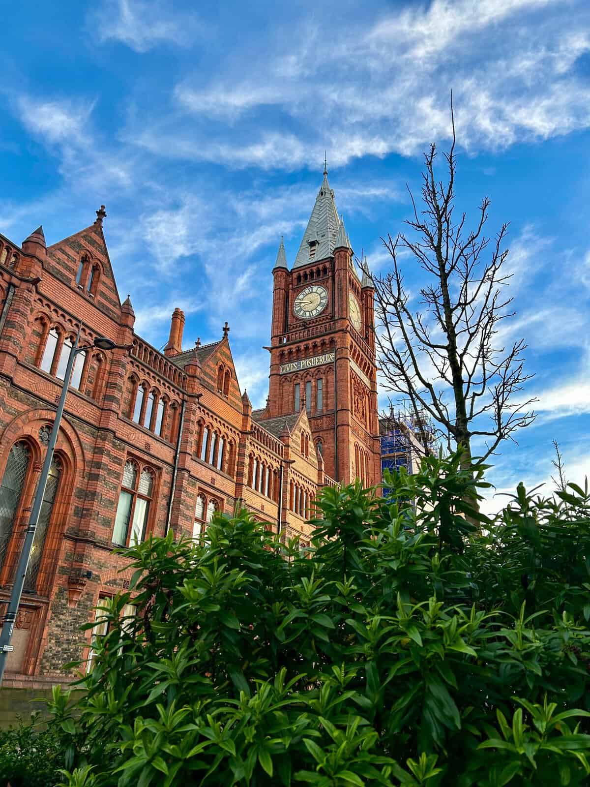 University of Liverpool