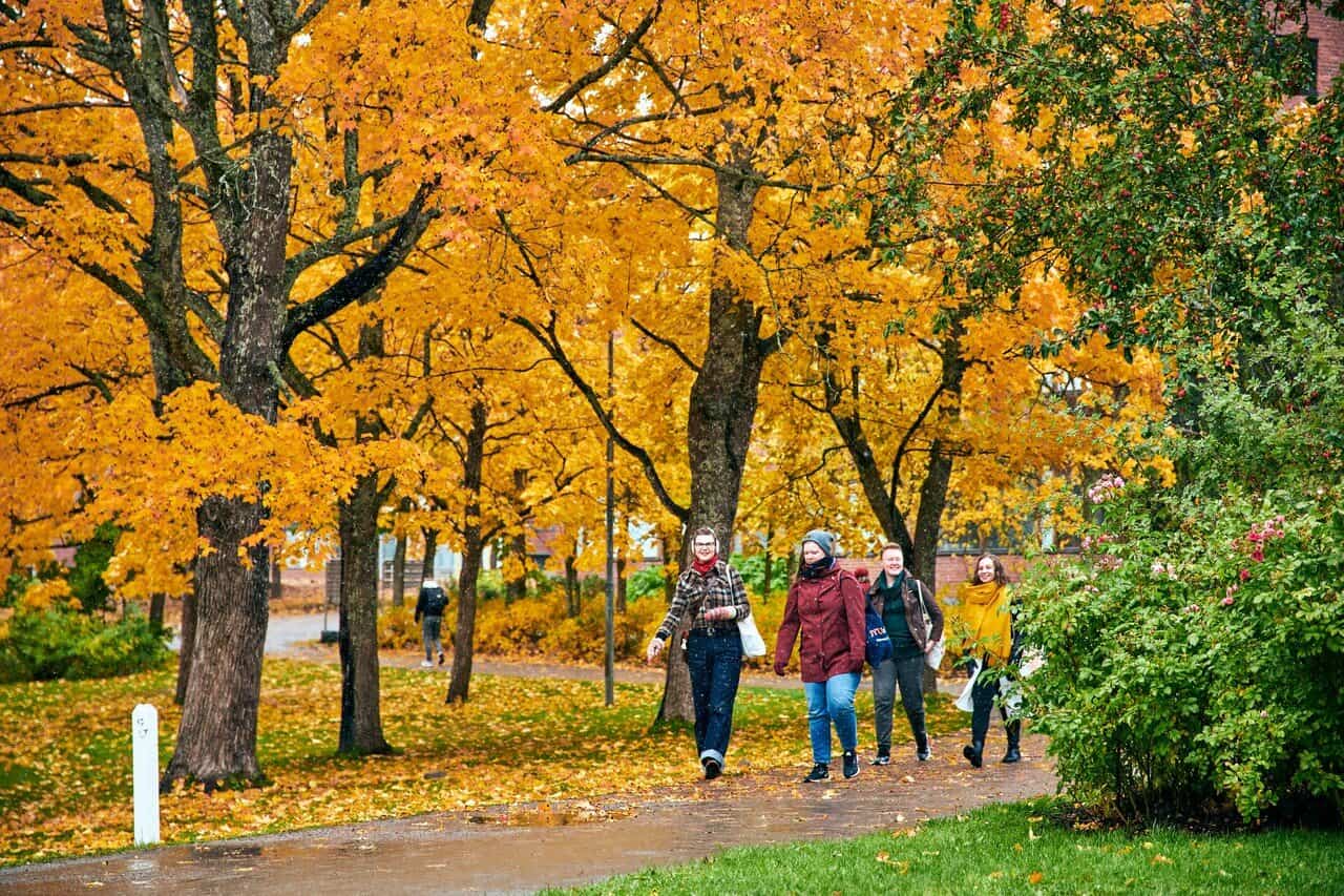 University of Jyväskylä Sports Management