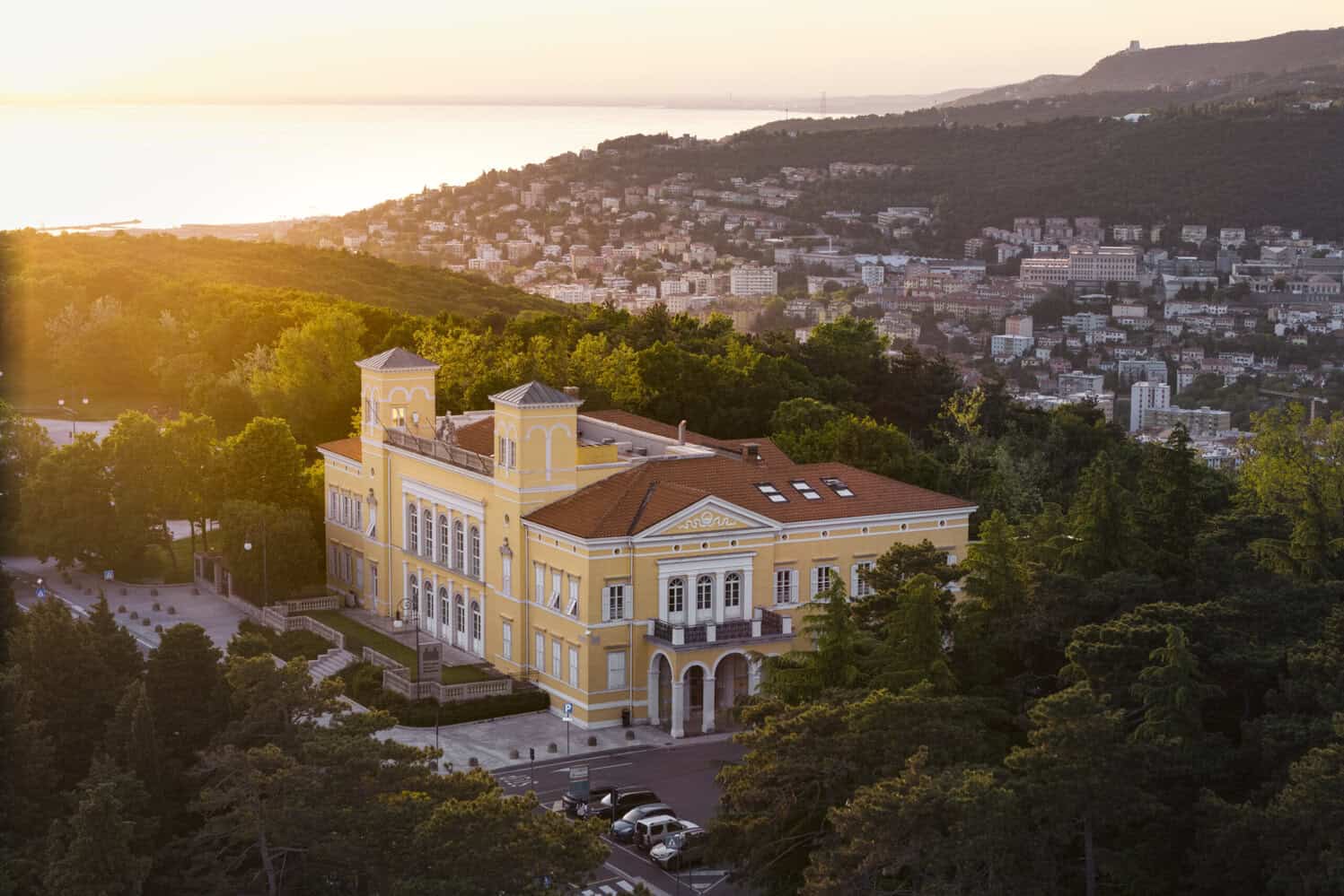 Student Opinions of MIB Trieste