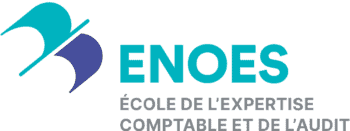 ENOES - ENOES logo