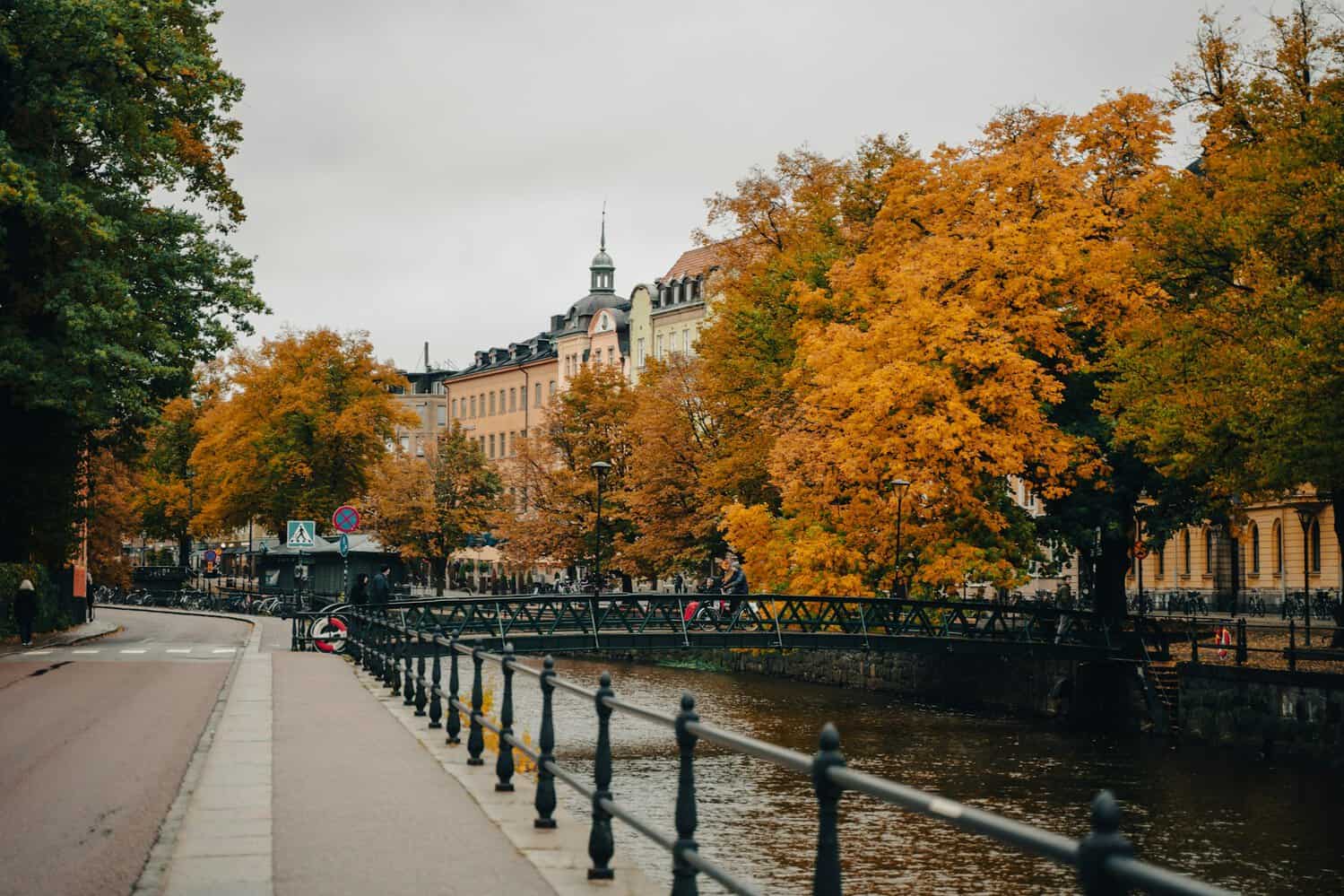 Best places to study pharmacy in Europe Sweden